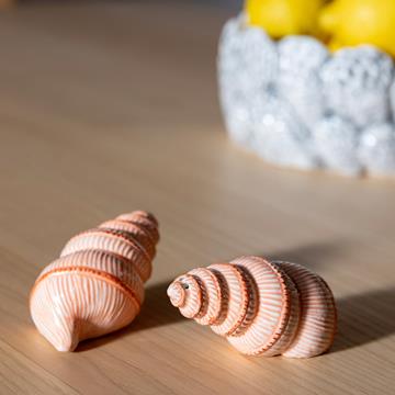 Salt & pepper shell