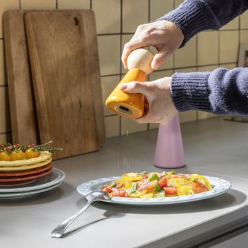 Salt & pepper halma small orange