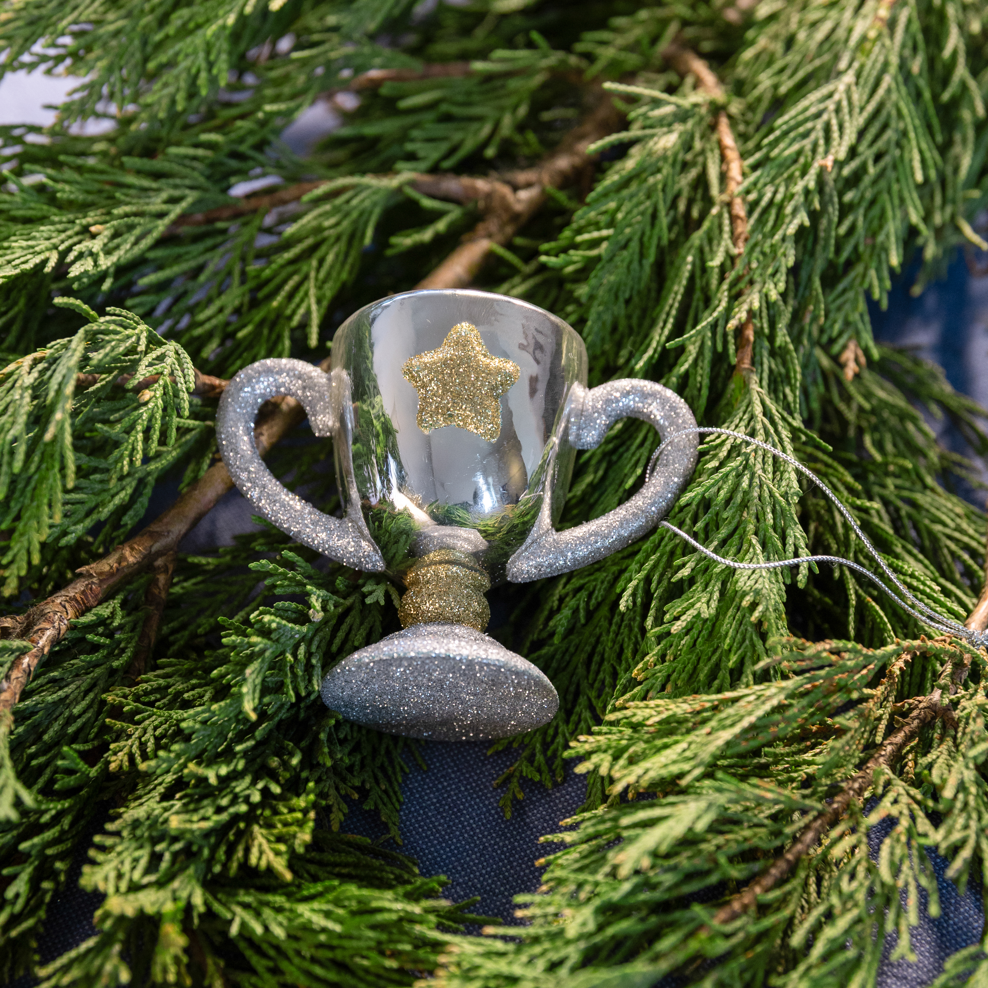 Ornament trophy silver