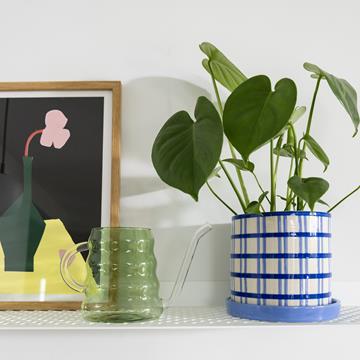 Watering can swell green