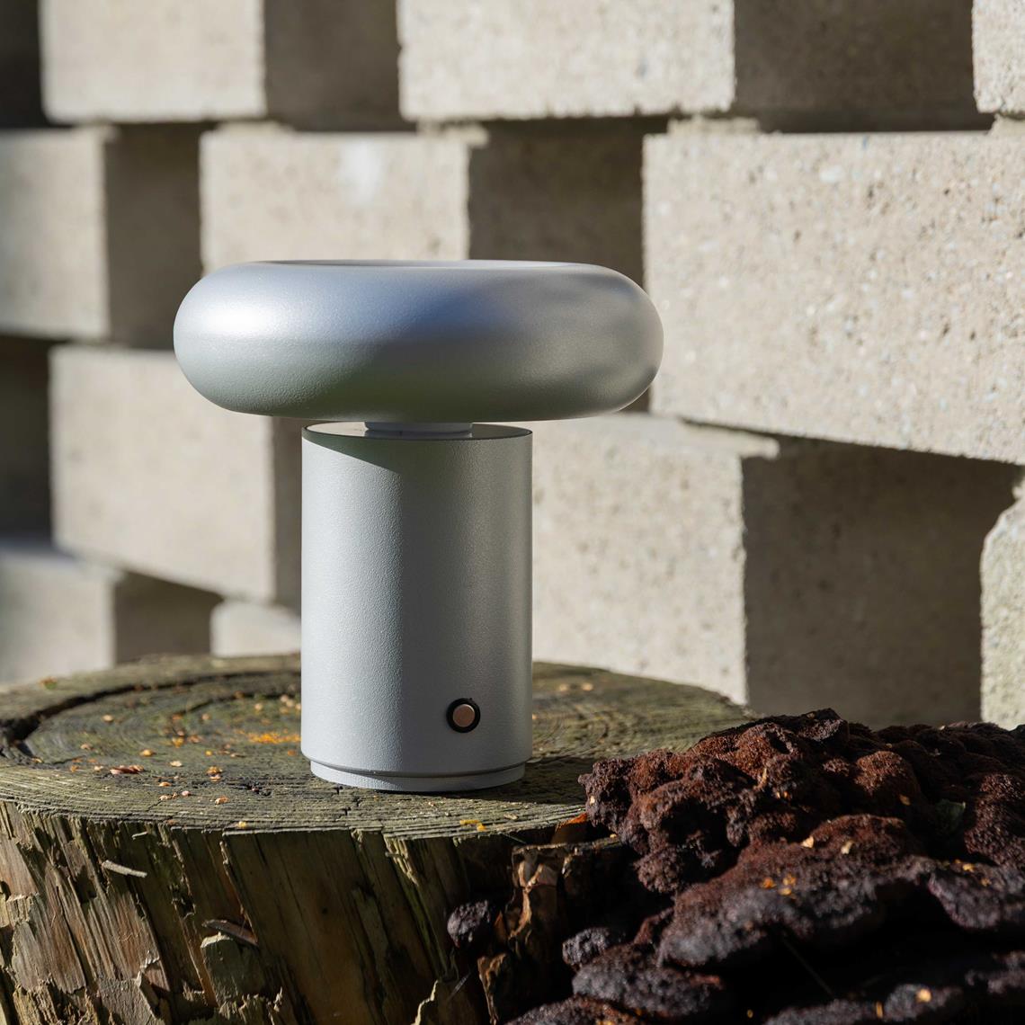 Lamp portable glimpse frosted silver